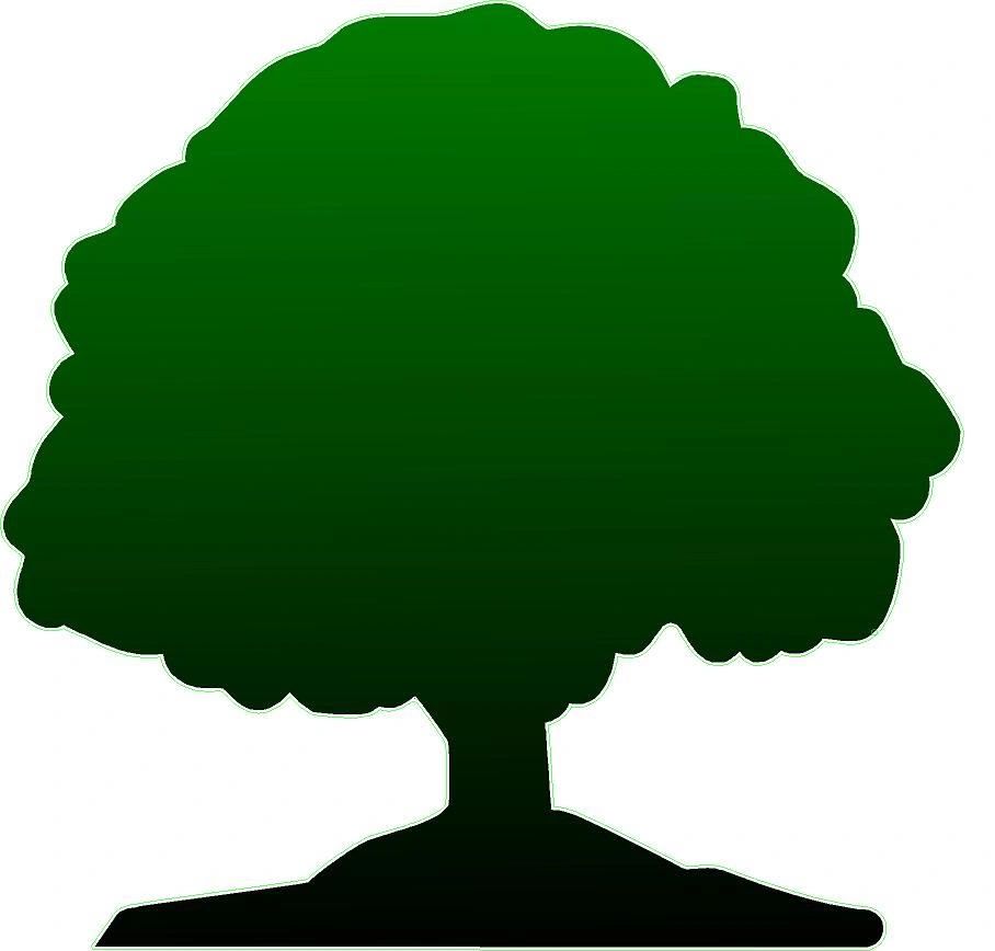 Professional tree service in south lake